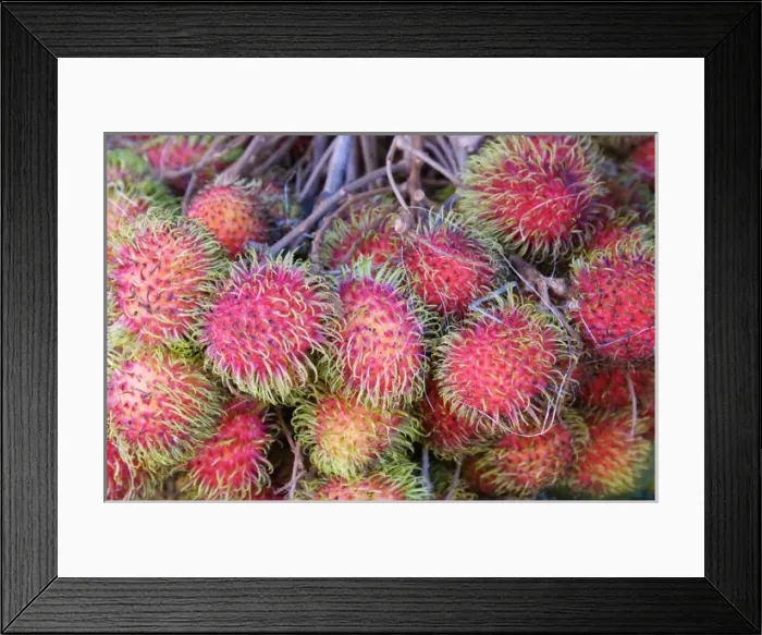 Framed Print : Tanzania: Zanzibar, StoneTown, Darajani Market, Hurumzi section of town, litchis Framed Print : Tanzania: Zanzibar, StoneTown, Darajani Market, Hurumzi section of town, litchis