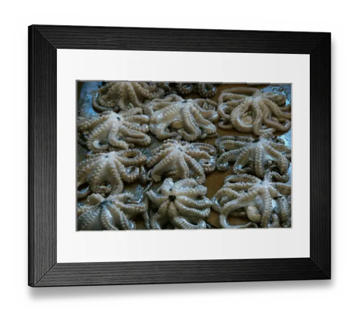 Framed Print : Tanzania: Zanzibar, StoneTown, Darajani Market, Hurumzi section of town, octopus for sale