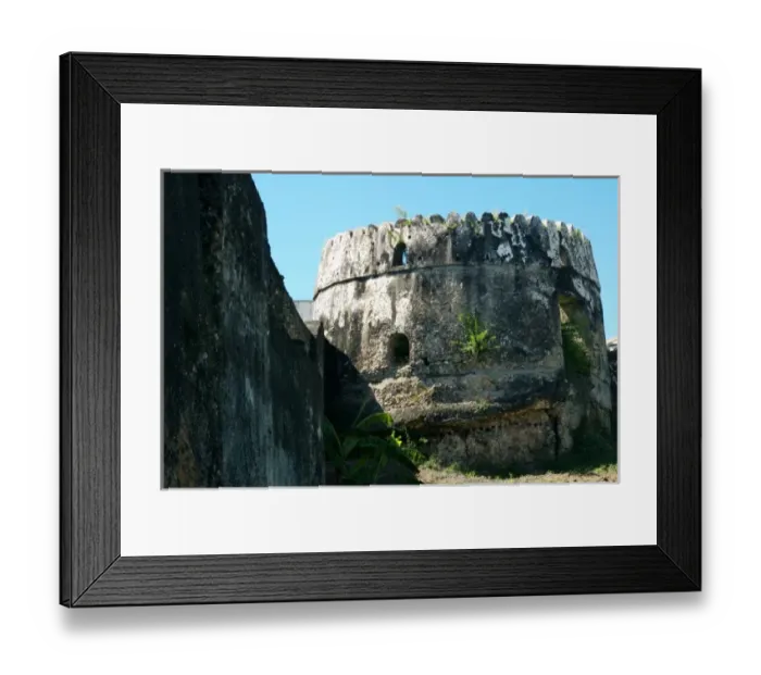 Framed Print : Tanzania: Zanzibar, old ruins