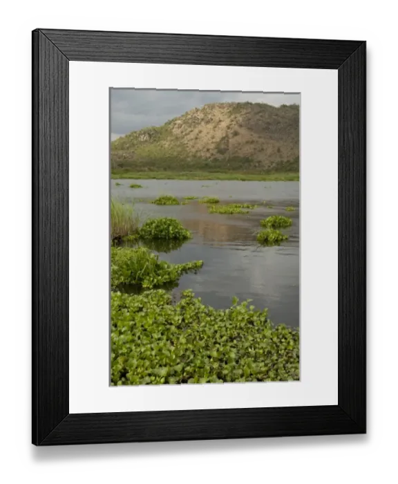 Framed Print : Africa, Tanzania