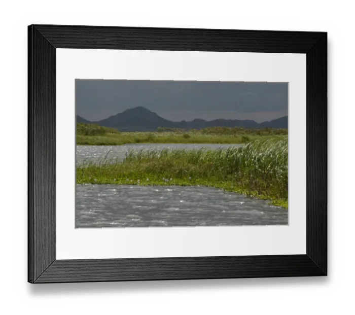 Framed Print : Tanzania, No Water No Life Mara River Expedition, Kirumi, Mara River, Masurua Swamp Framed Print : Tanzania, No Water No Life Mara River Expedition, Kirumi, Mara River, Masurua Swamp