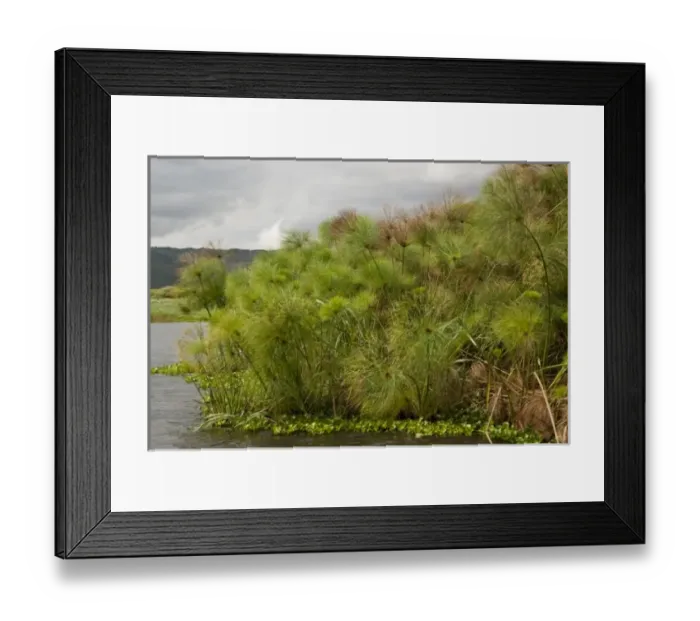 Framed Print : Africa, Tanzania