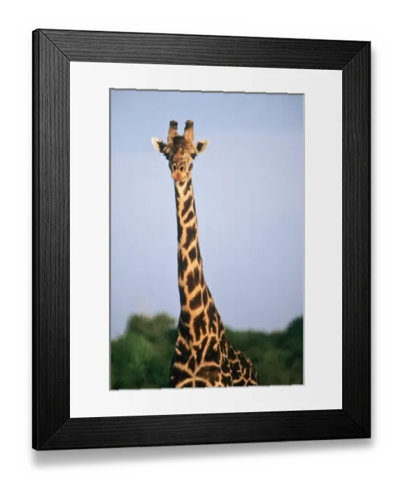 Framed Print : Africa, Tanzania Framed Print : Africa, Tanzania