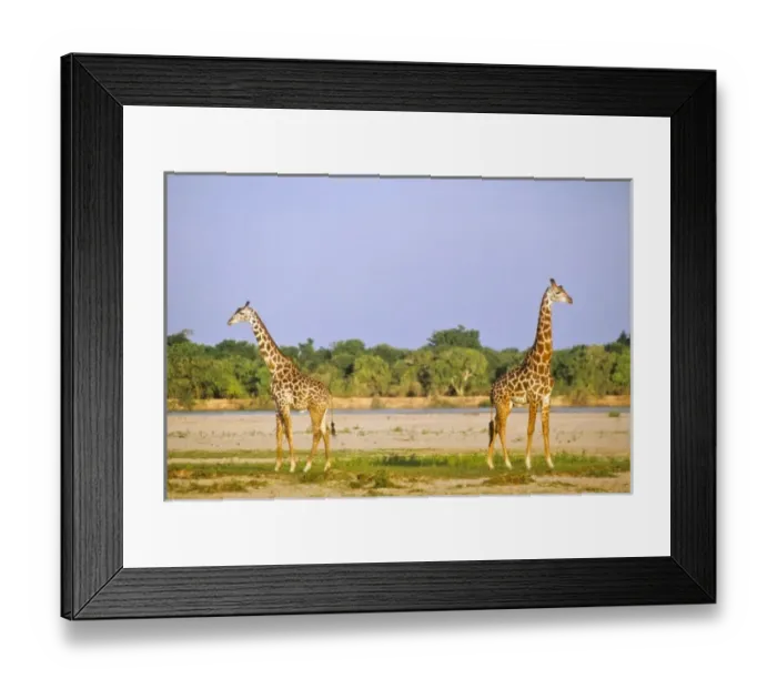 Framed Print : Africa, Tanzania Framed Print : Africa, Tanzania
