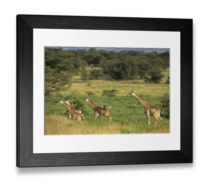 Framed Print : Africa, Tanzania