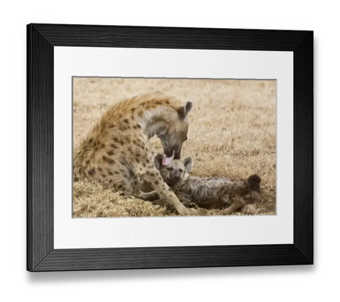 Framed Print : Africa, Tanzania Framed Print : Africa, Tanzania