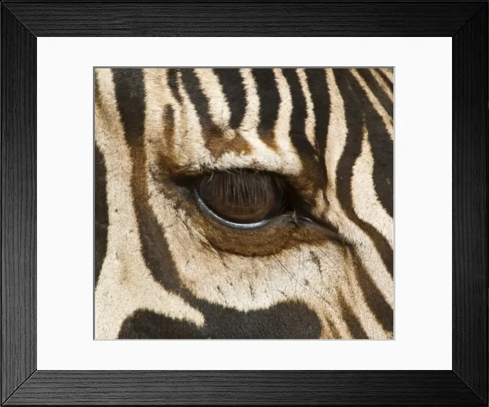 Framed Print : Africa, Tanzania Framed Print : Africa, Tanzania