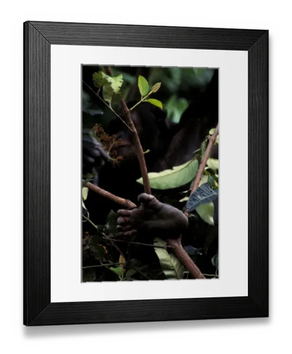 Framed Print : Africa, Tanzania