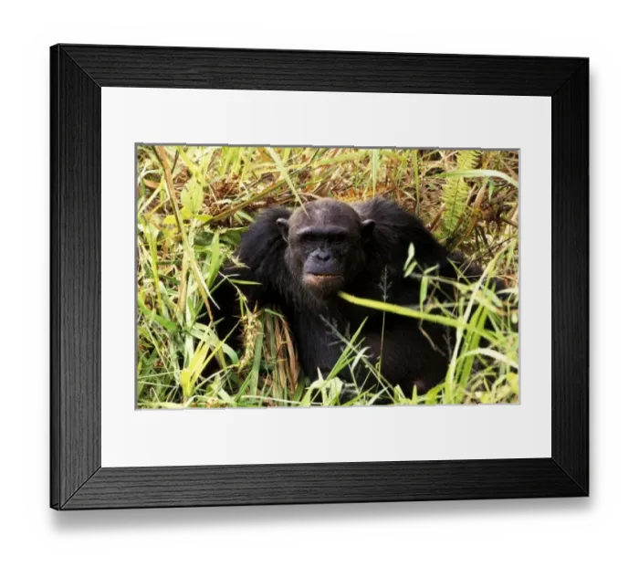 Framed Print : Africa, Tanzania