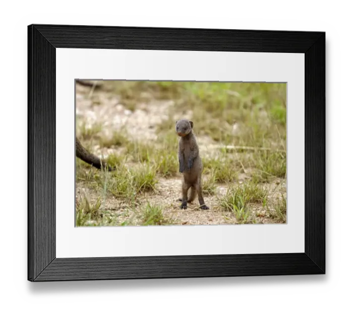 Framed Print : Africa, Tanzania