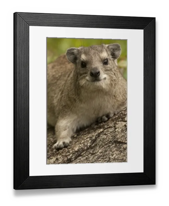 Framed Print : Africa, Tanzania Framed Print : Africa, Tanzania