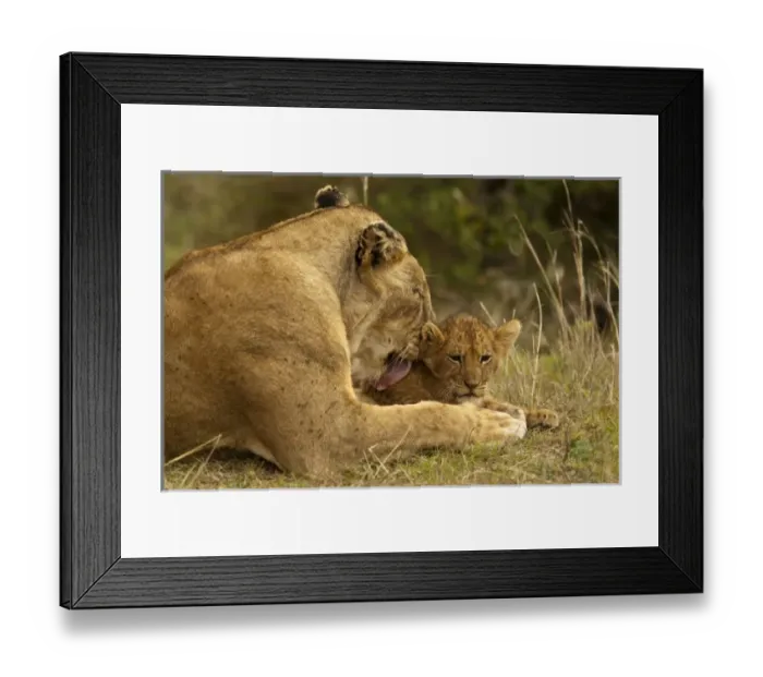 Framed Print : Africa, Tanzania Framed Print : Africa, Tanzania