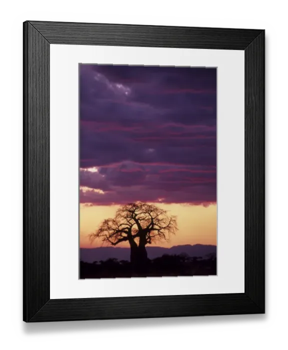 Framed Print : Africa, Tanzania Framed Print : Africa, Tanzania