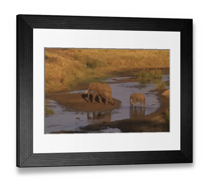 Framed Print : Adult and baby elephant crossing river, Tarangire National Park, Tanzania Framed Print : Adult and baby elephant crossing river, Tarangire National Park, Tanzania