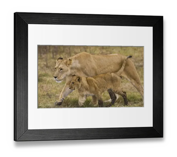 Framed Print : Africa, Tanzania Framed Print : Africa, Tanzania