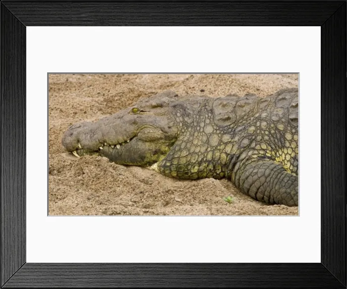 Framed Print : Africa, Tanzania