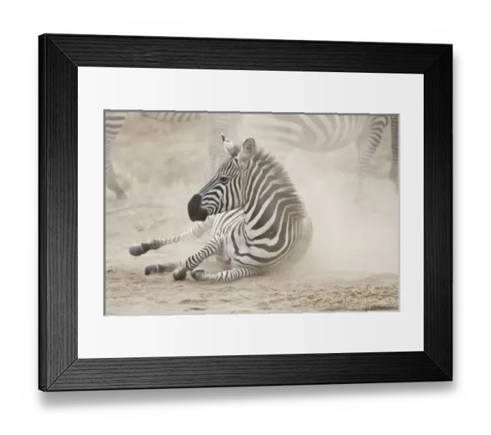 Framed Print : Africa, Tanzania Framed Print : Africa, Tanzania