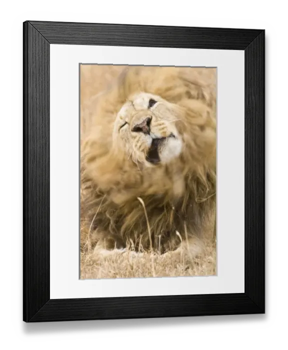 Framed Print : Africa, Tanzania