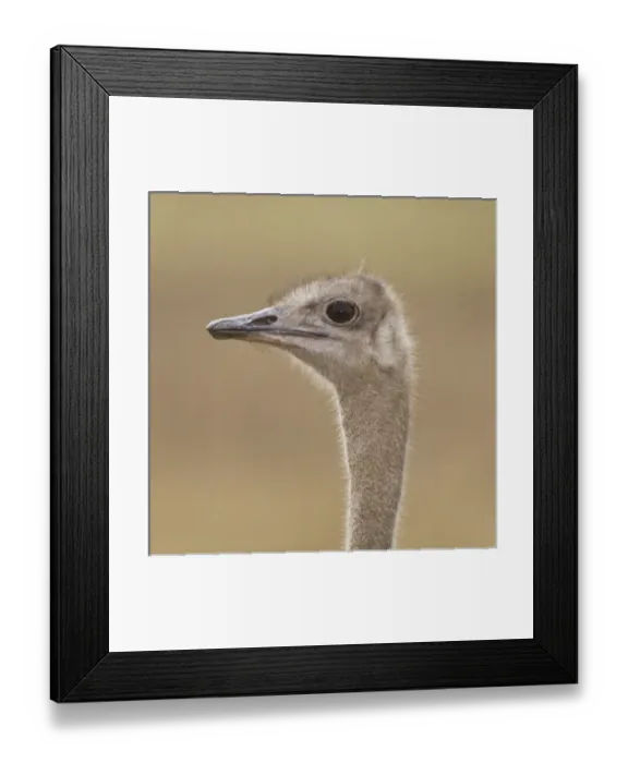 Framed Print : Africa, Tanzania Framed Print : Africa, Tanzania