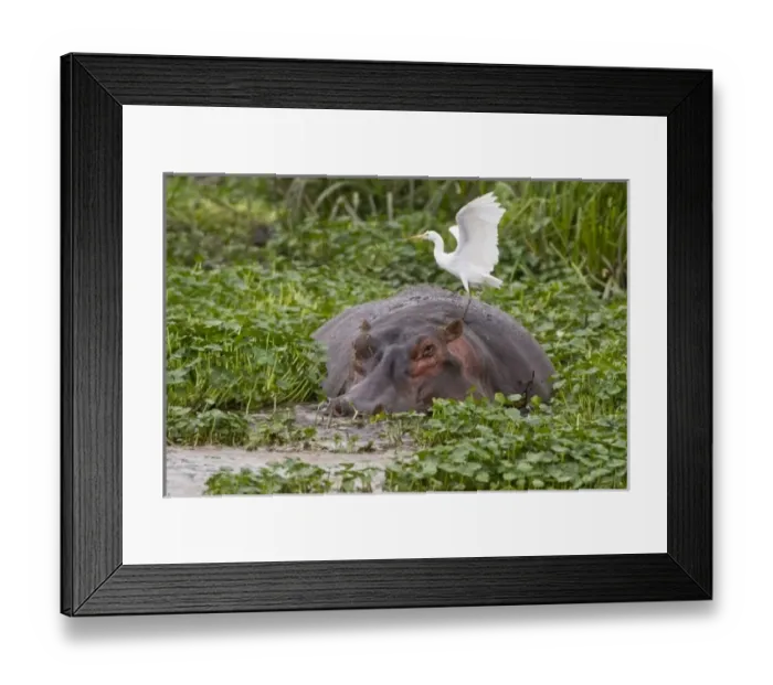 Framed Print : Africa, Tanzania
