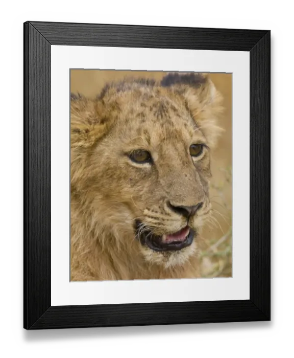 Framed Print : Africa, Tanzania Framed Print : Africa, Tanzania