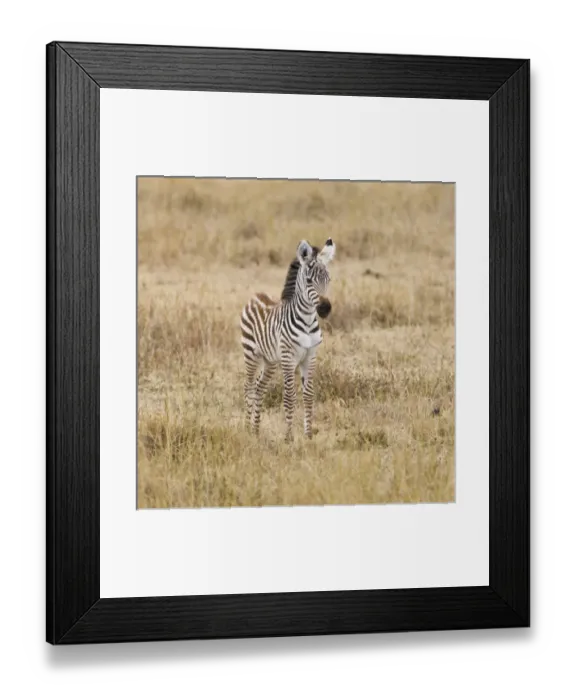 Framed Print : Africa, Tanzania