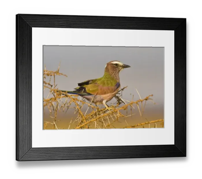 Framed Print : Africa, Tanzania