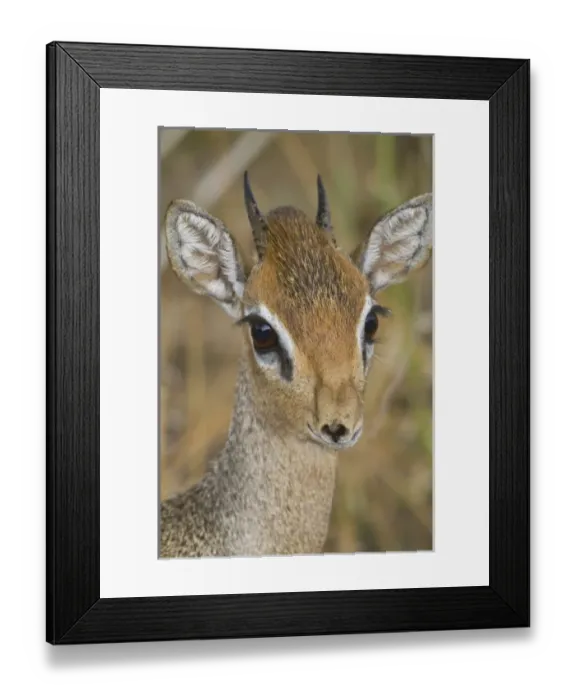 Framed Print : Africa, Tanzania Framed Print : Africa, Tanzania