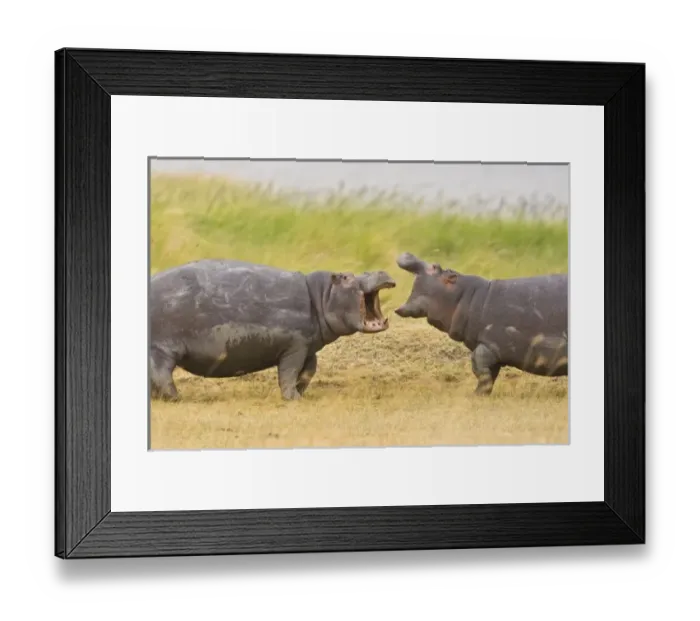Framed Print : Africa, Tanzania Framed Print : Africa, Tanzania