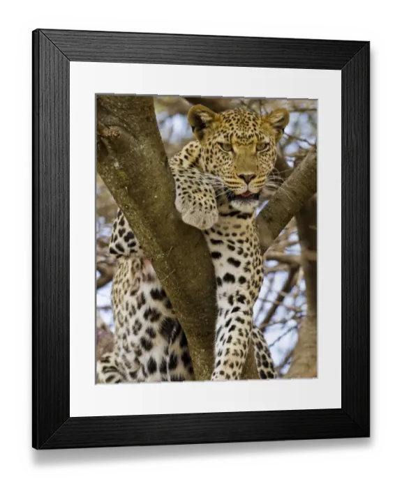 Framed Print : Africa, Tanzania