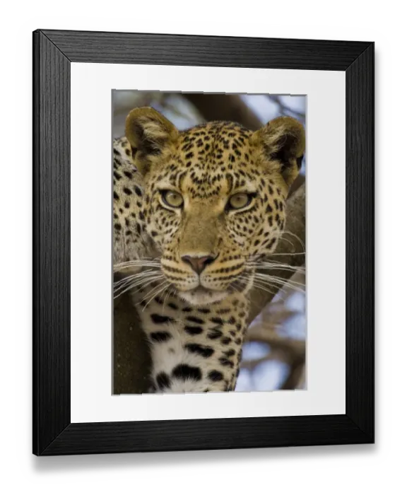 Framed Print : Africa, Tanzania