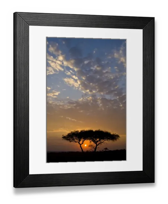 Framed Print : Africa. Tanzania. Sunrise in Serengeti NP Framed Print : Africa. Tanzania. Sunrise in Serengeti NP