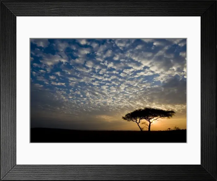 Framed Print : Africa, Tanzania