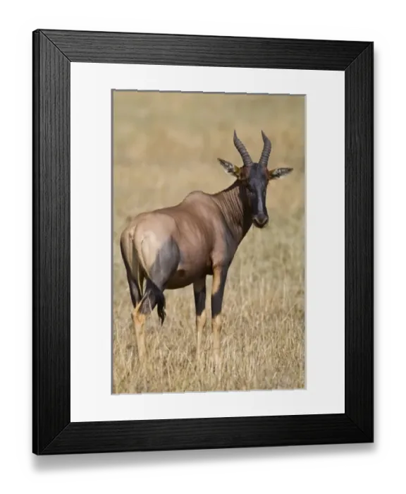 Framed Print : Africa, Tanzania
