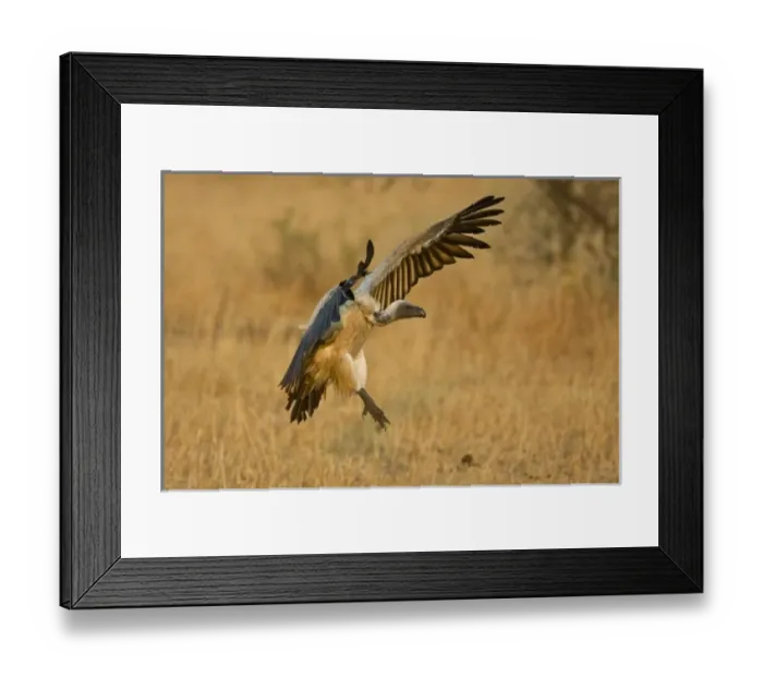 Framed Print : Africa, Tanzania