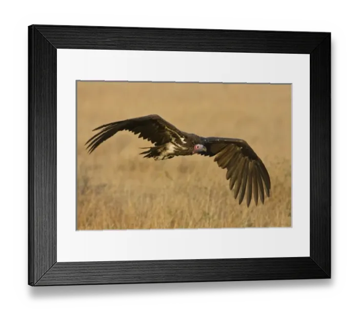 Framed Print : Africa, Tanzania