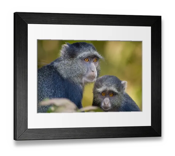 Framed Print : Africa, Tanzania Framed Print : Africa, Tanzania