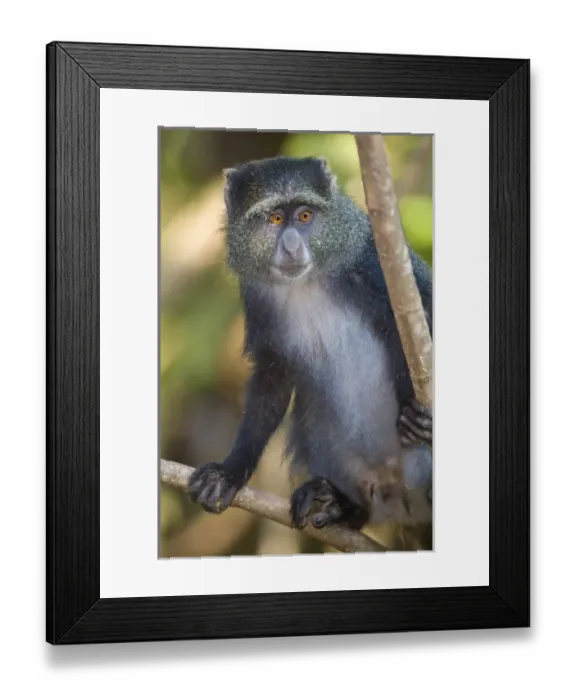 Framed Print : Africa, Tanzania Framed Print : Africa, Tanzania