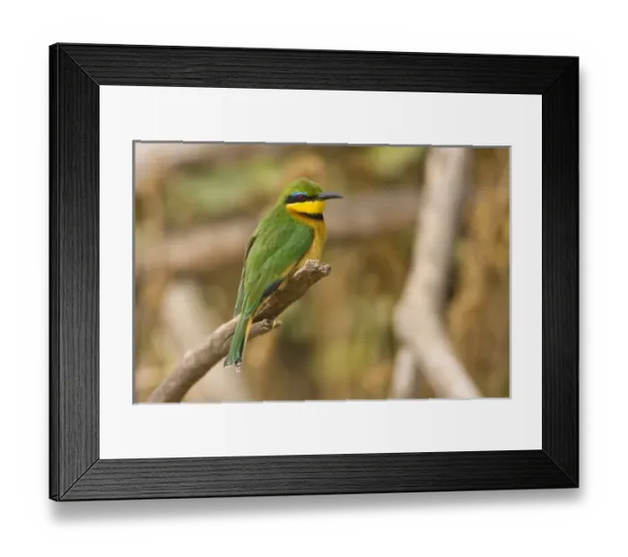 Framed Print : Africa, Tanzania Framed Print : Africa, Tanzania