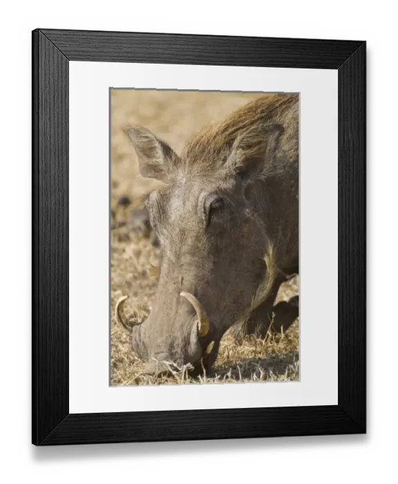 Framed Print : Africa, Tanzania