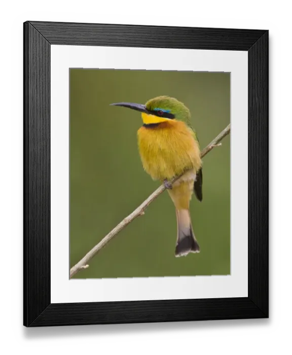 Framed Print : Africa, Tanzania Framed Print : Africa, Tanzania