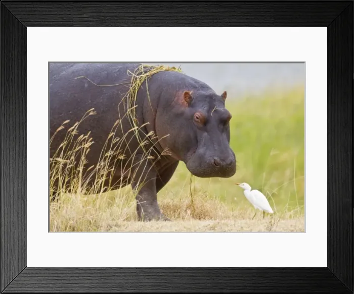 Framed Print : Africa, Tanzania