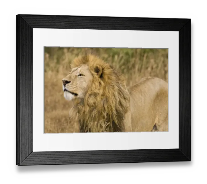 Framed Print : Africa, Tanzania