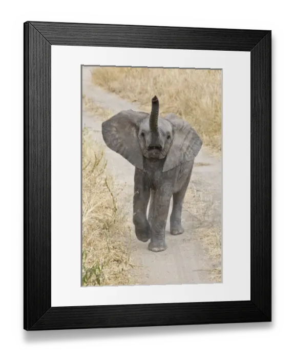 Framed Print : Africa, Tanzania