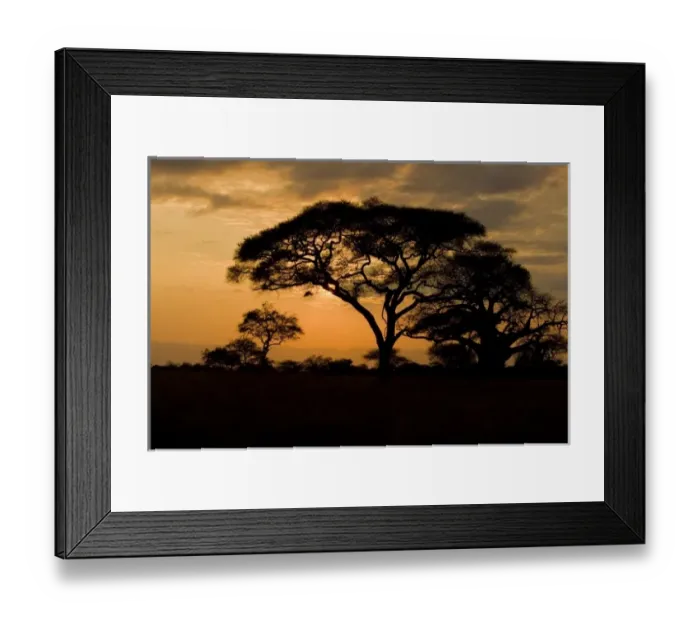 Framed Print : Africa, Tanzania