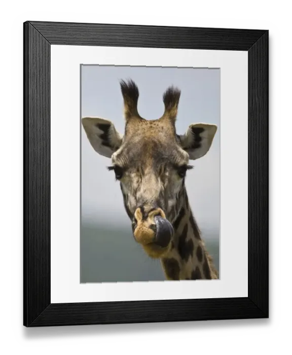 Framed Print : Africa, Tanzania Framed Print : Africa, Tanzania