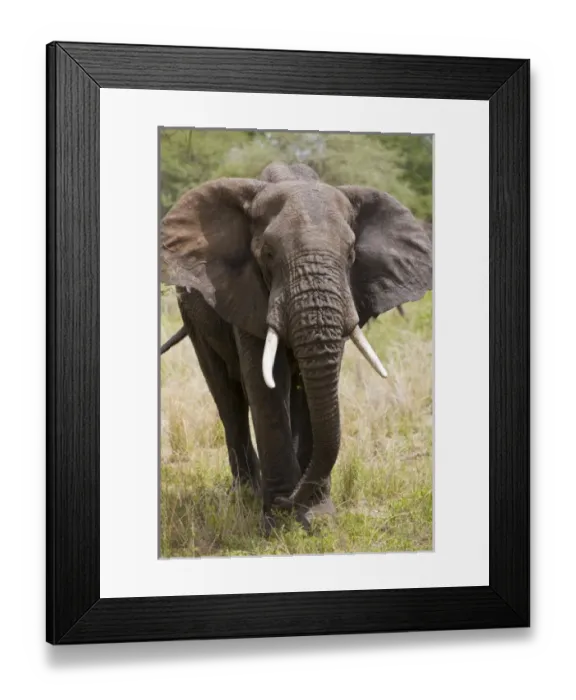 Framed Print : Africa, Tanzania Framed Print : Africa, Tanzania