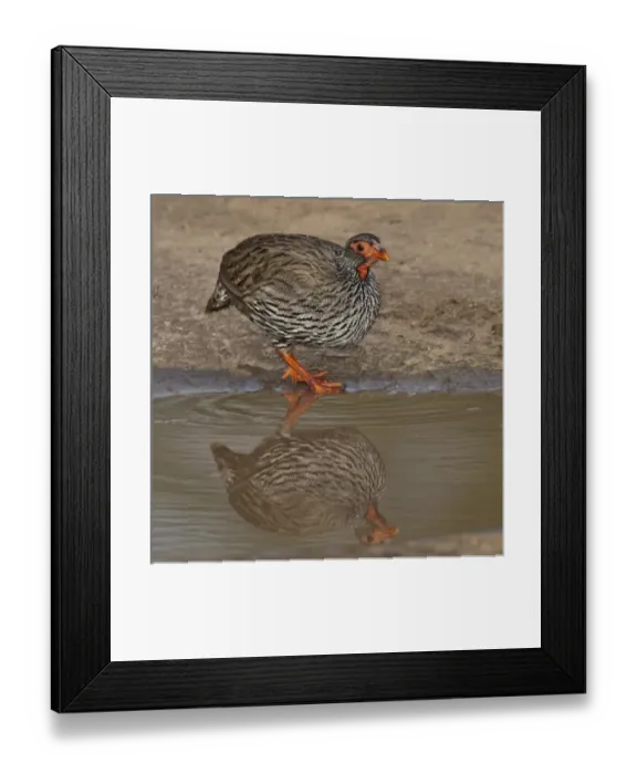 Framed Print : Africa, Tanzania Framed Print : Africa, Tanzania