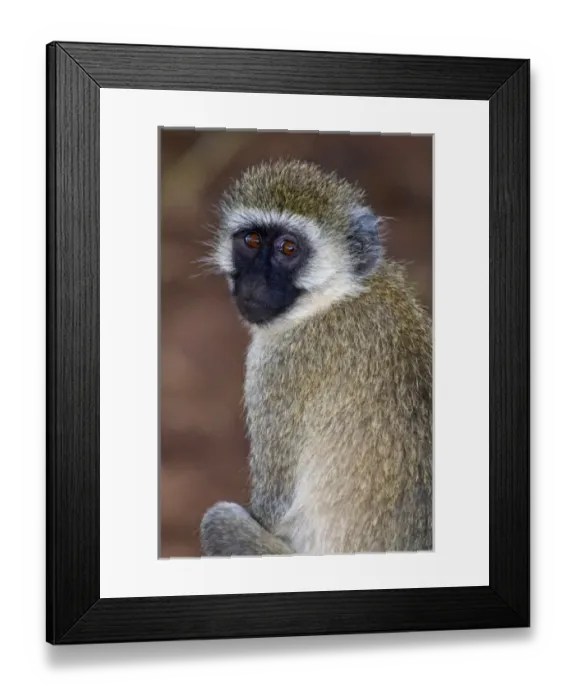 Framed Print : Africa, Tanzania
