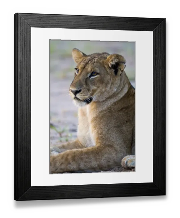 Framed Print : Africa, Tanzania Framed Print : Africa, Tanzania